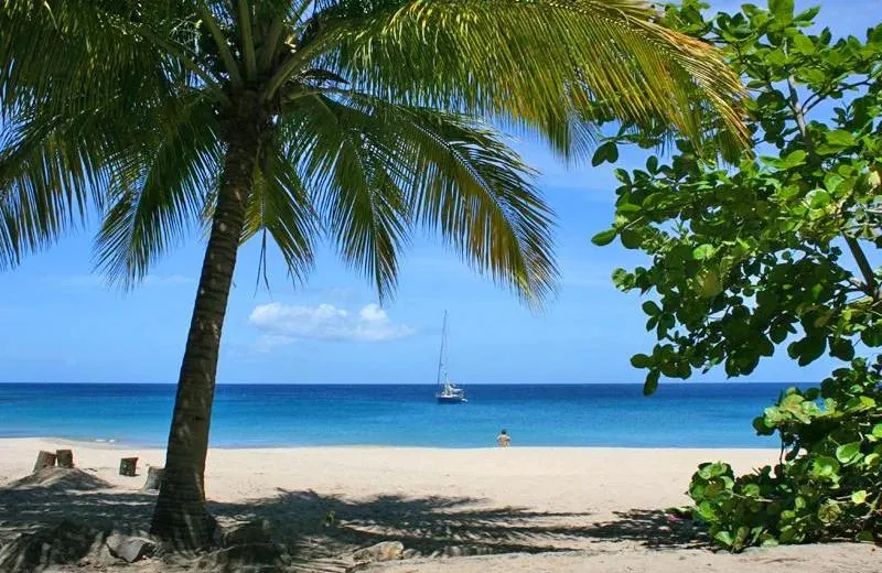 Deshaies, l’écrin sauvage de la Basse-Terre.